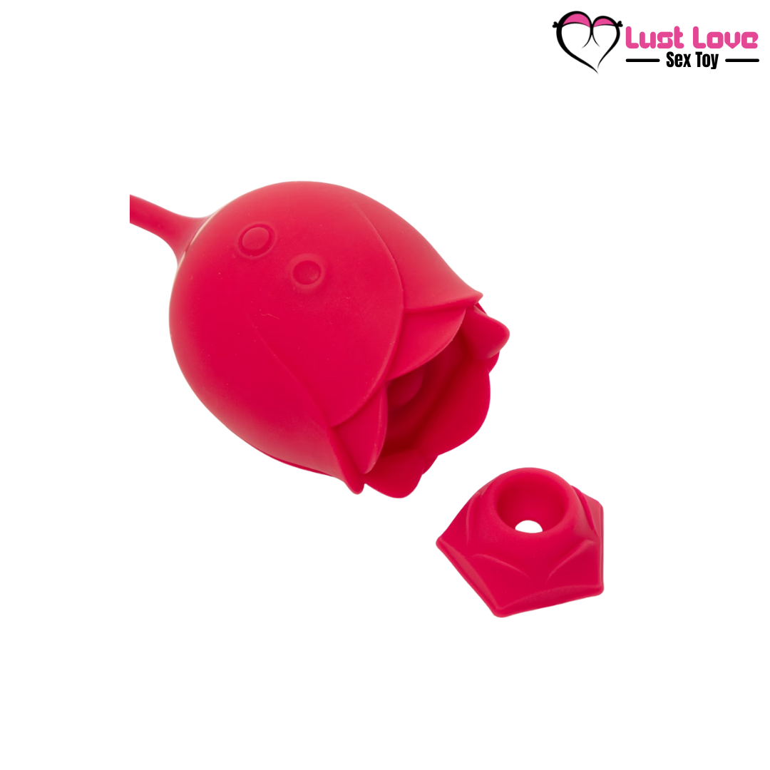 2-in-1 Clitoral Suction - Lust Love Toy's
